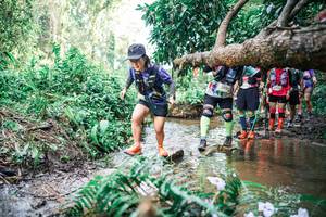 BIB: 
                            <button type="button" onclick="openModal(25517376)" class="btn btn-primary btn-sm float-right btn-popup" data-toggle="modal" data-target=".modal-high-quality">
                        <i class="fas fa-shopping-cart"></i> Add to Cart
                    </button>
                                            <button type="button" onclick="isThisMe(25517376, true)" class="btn btn-success btn-sm float-right btn-popup btn-isme hidden" data-toggle="tooltip" data-placement="bottom" title="นี่คือรูปของคุณใช่ไหม คลิกที่นี่เพื่อเอาเข้าอัลบั้ม">
                        <i class="fas fa-plus"></i> Add to album
                    </button>
                    <button type="button" onclick="isThisMe(25517376, false)" class="btn btn-warning btn-sm float-right btn-popup btn-isnotme hidden">
                        <i class="fas fa-ban"></i> Remove from album
                    </button>